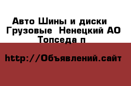 Авто Шины и диски - Грузовые. Ненецкий АО,Топседа п.